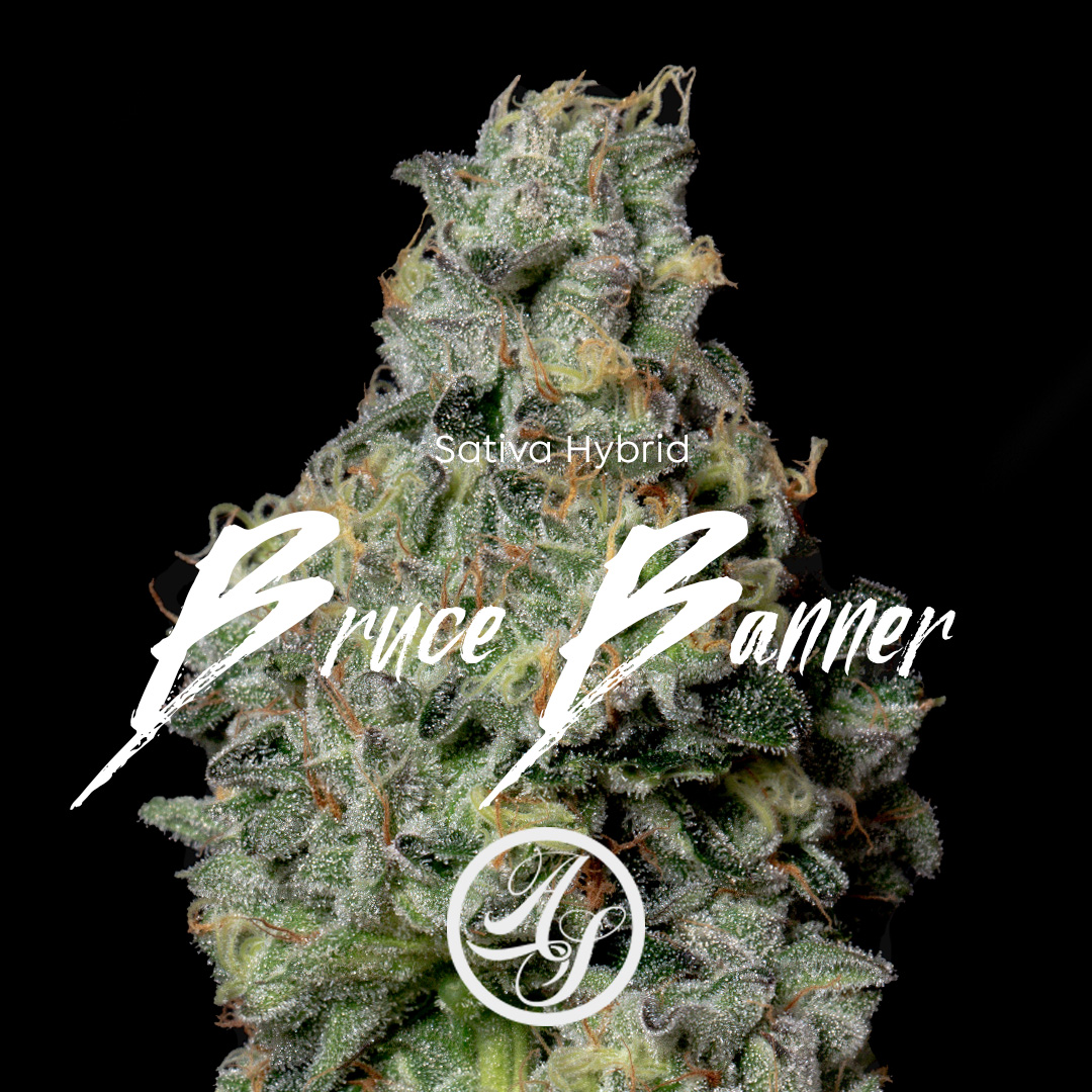 Photograph of product: Bruce Banner TH-oui 28.61% - 14g