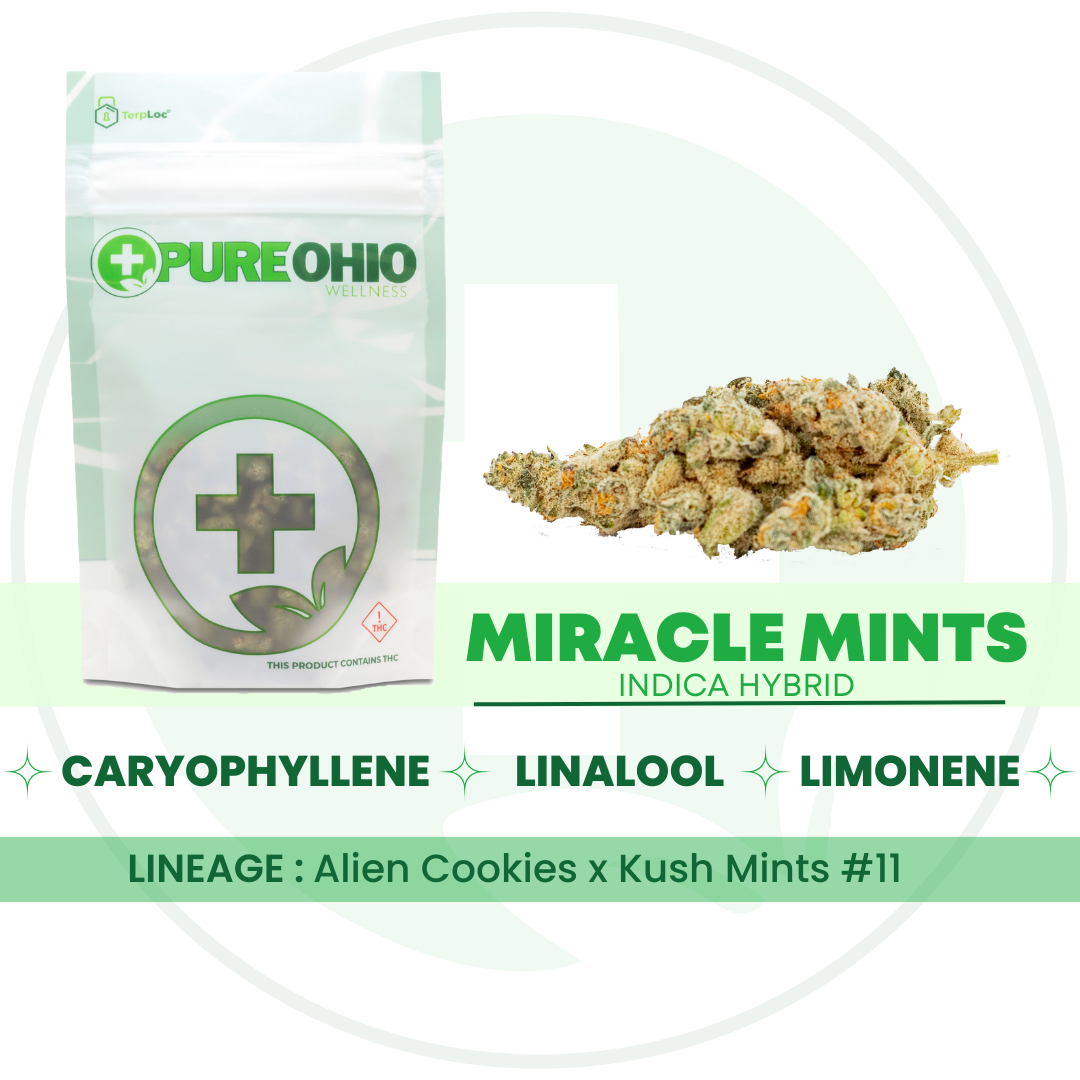 Photograph of product: Miracle Mints | 14.15g