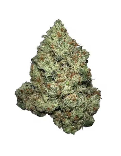 Photograph of product: Best Budz | Silverback Haze (TAX INCLUDED) - 3.5g