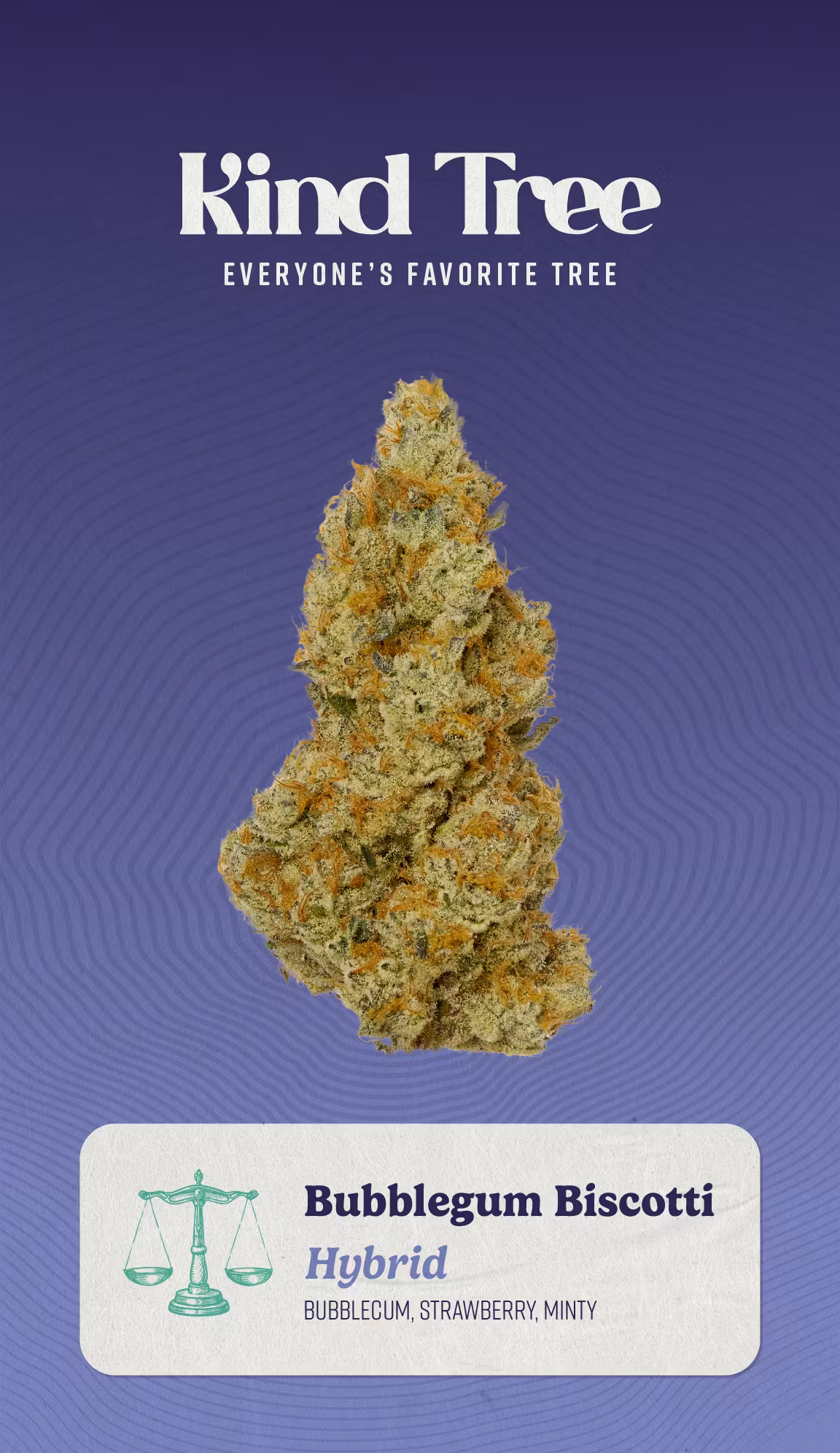 Photograph of product: Bubblegum Biscotti | 14g Flower I Kind Tree
