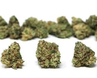 Photograph of product: Headcracker Mixed Buds Flower T24.55 (1-00841) - 14g