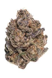 Photograph of product: Labelva Labs - Mackinaw Grape - Bulk Flower - 32g