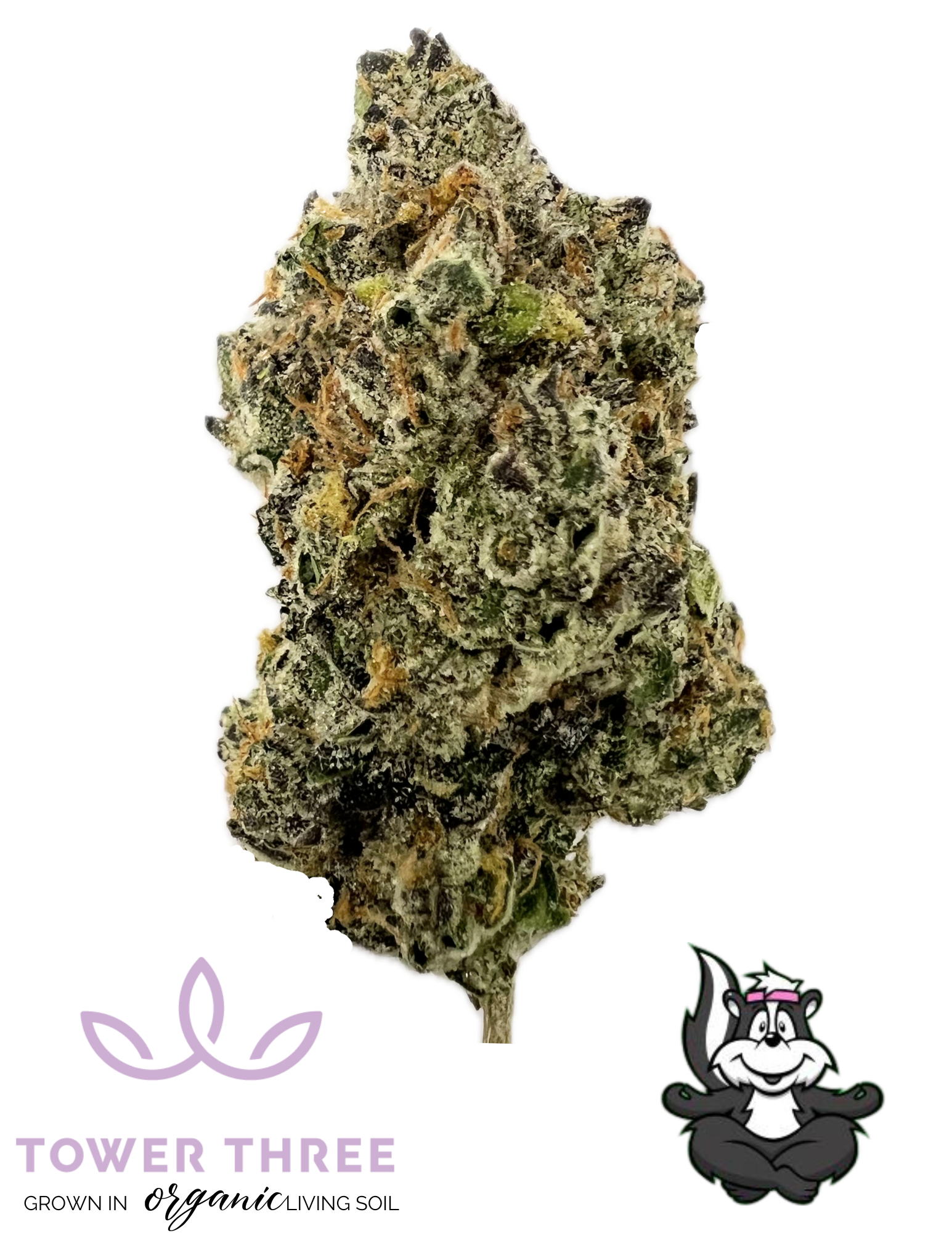 Photograph of product: Butterwolf | Tower Three | - 28g