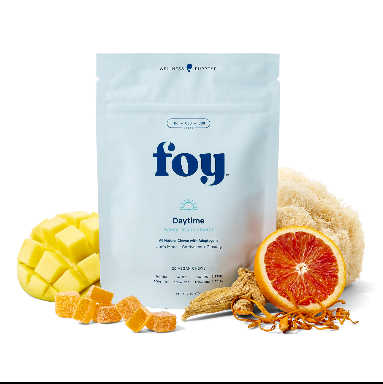Photograph of product: Foy Daytime Chews
