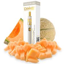 Photograph of product: Cantaloupe Dream | Disposable Vape | 2g