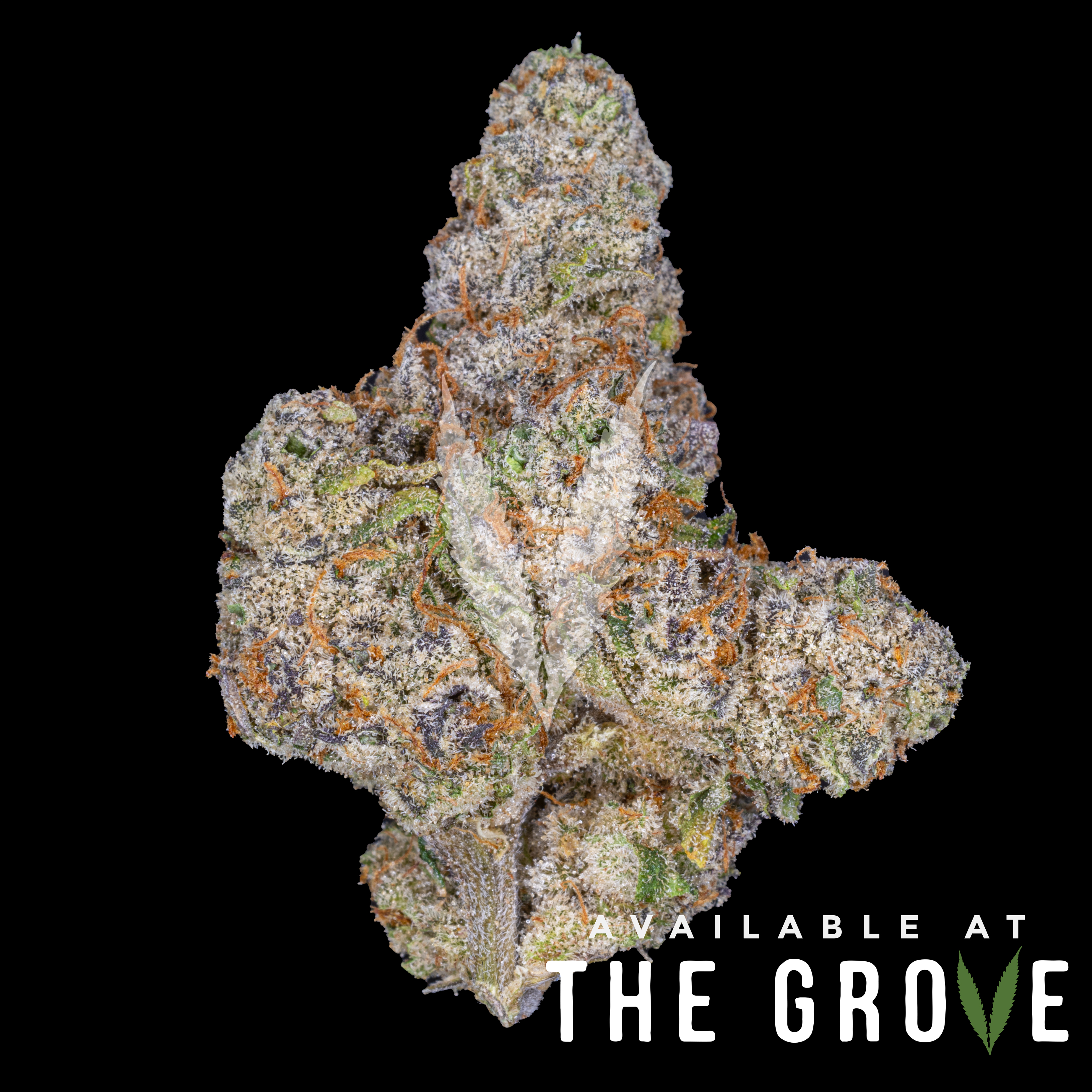 Photograph of product: Connected Oui'd | Silver Spoon 1/8th - 3.5g