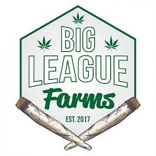 Photograph of product: Big League Pre Roll -- White Chocolate Chip - '24