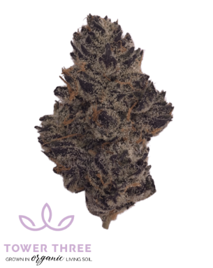 Photograph of product: White Truffle Buds - 3.5g