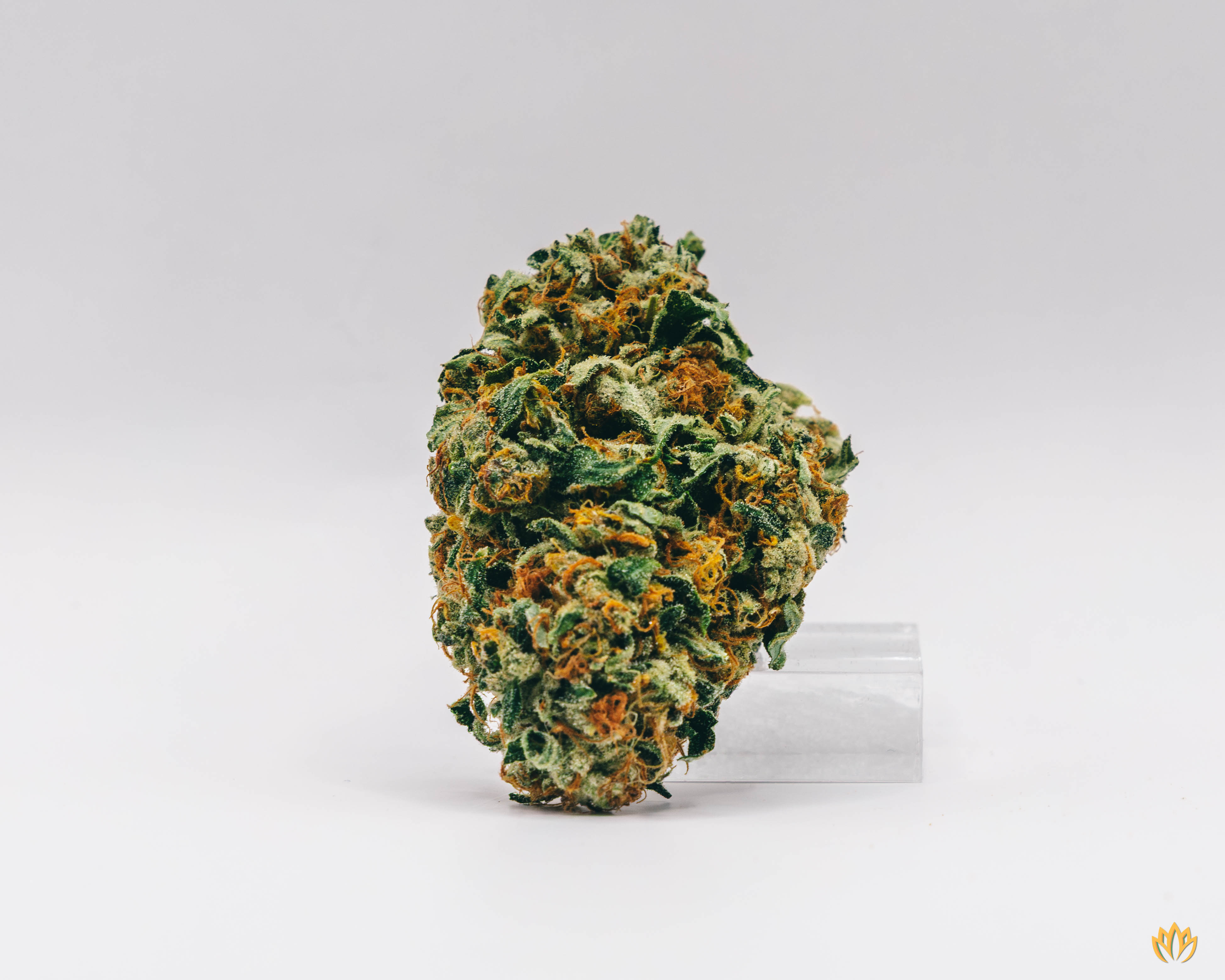 Photograph of product: Euphoria - 3.5g