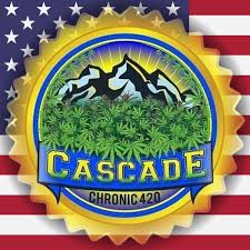 Photograph of product: Cascade Chronic - Chronic Breath Mints - Flower - 1g