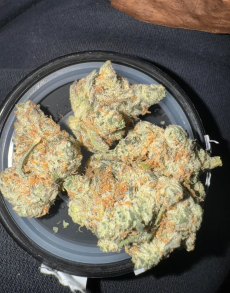 Photograph of product: REVOLUTION - CLOSET GREMLIN (3.5G) (I)
