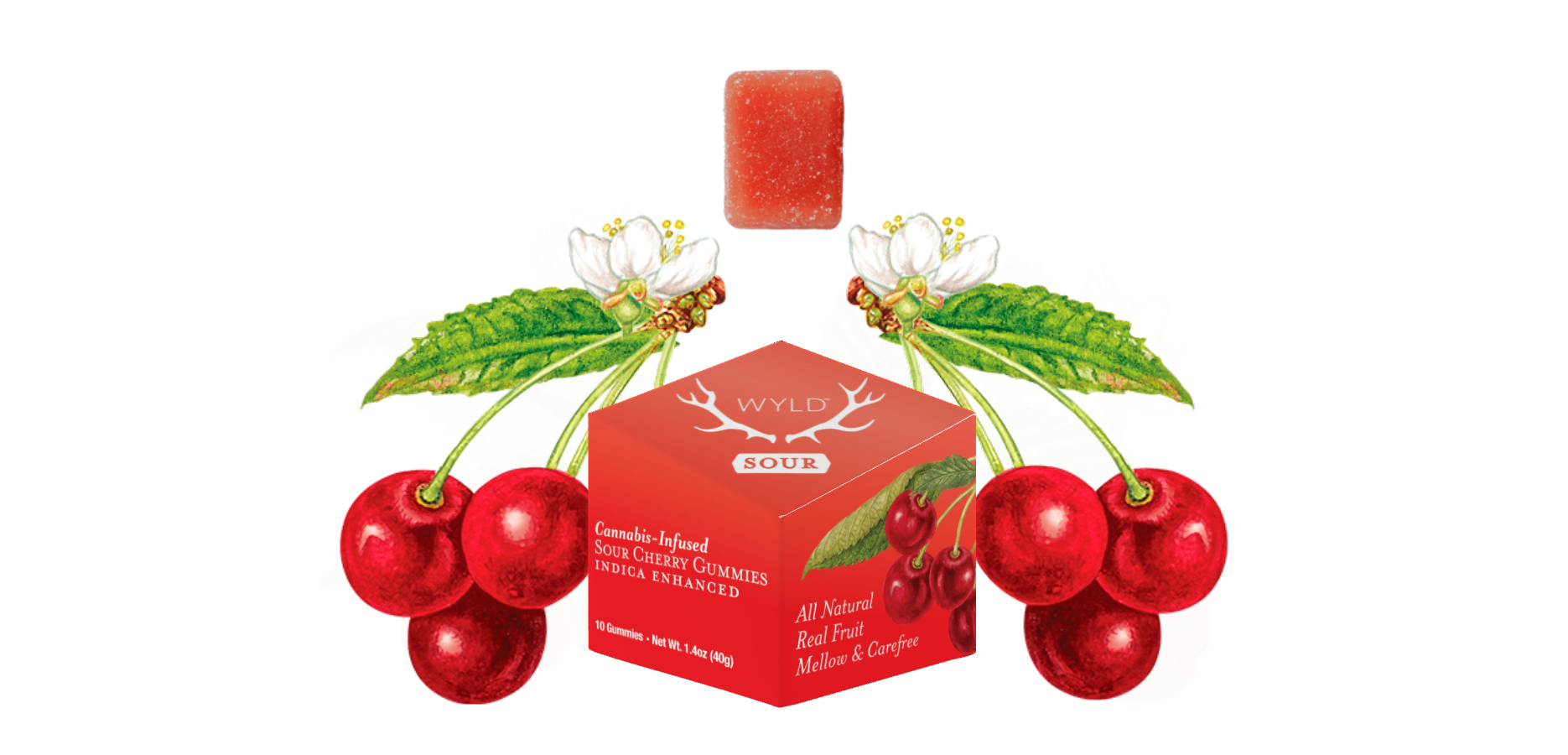 Photograph of product: Wyld - Gummies - Sour Cherry (I) (100mg)