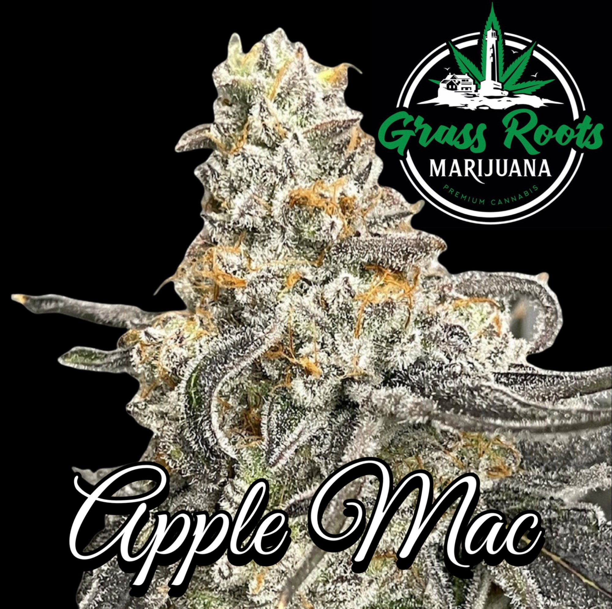 Photograph of product: GRM | Apple Mac | 3.5g