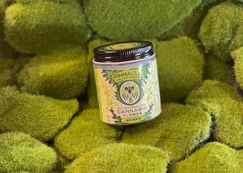Photograph of product: Pre Pack | Jack Herer | Pinnacle Valley Farms - 3.5g