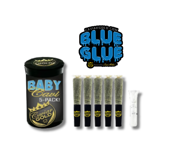 Photograph of product: BLUE GLUE | BABY CAVI INFUSED PREROLLS 5PK