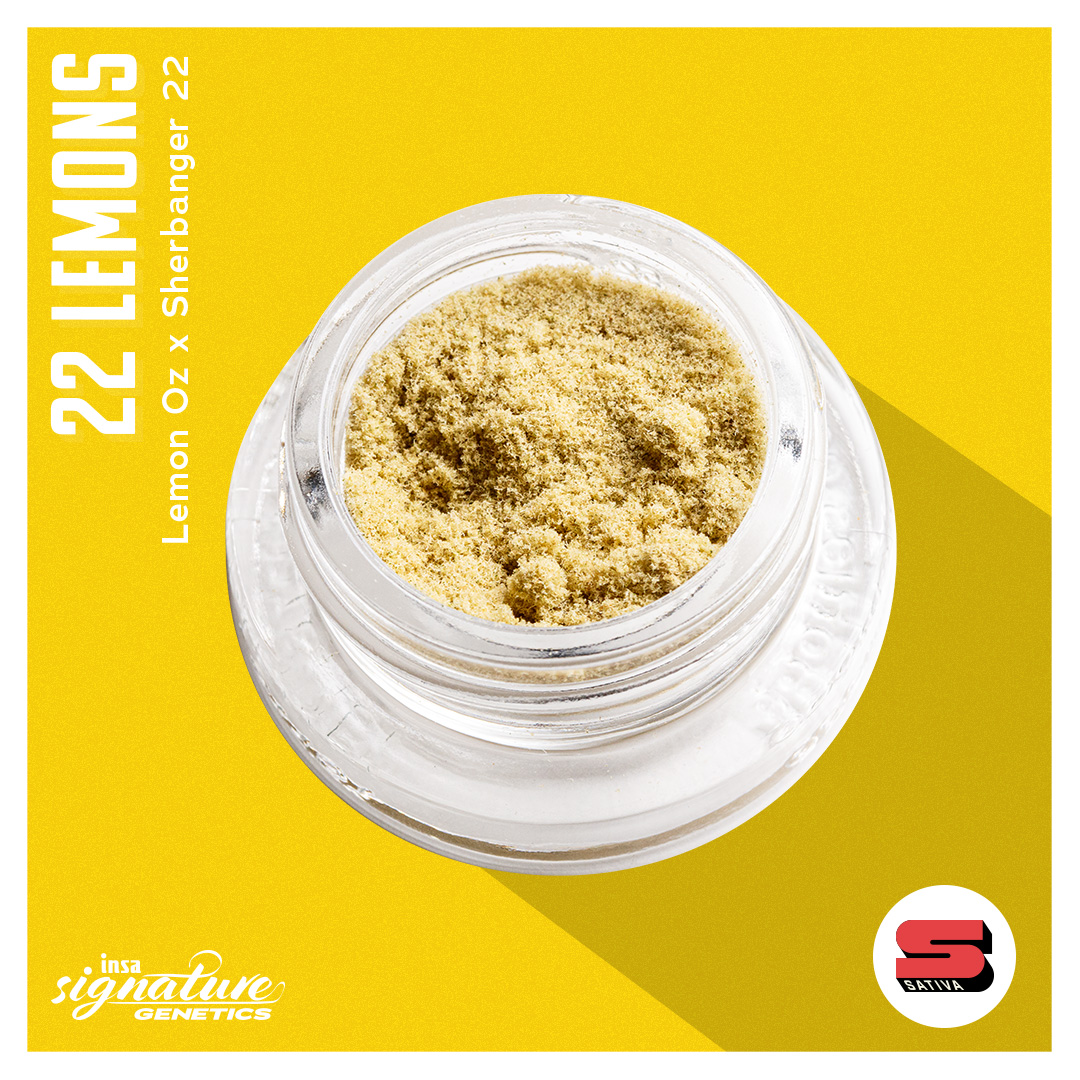 Photograph of product: Kief - 22 Lemons