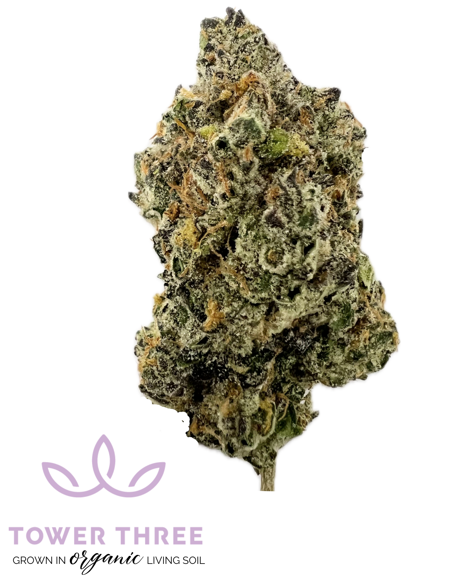 Photograph of product: Butterwolf - 7g