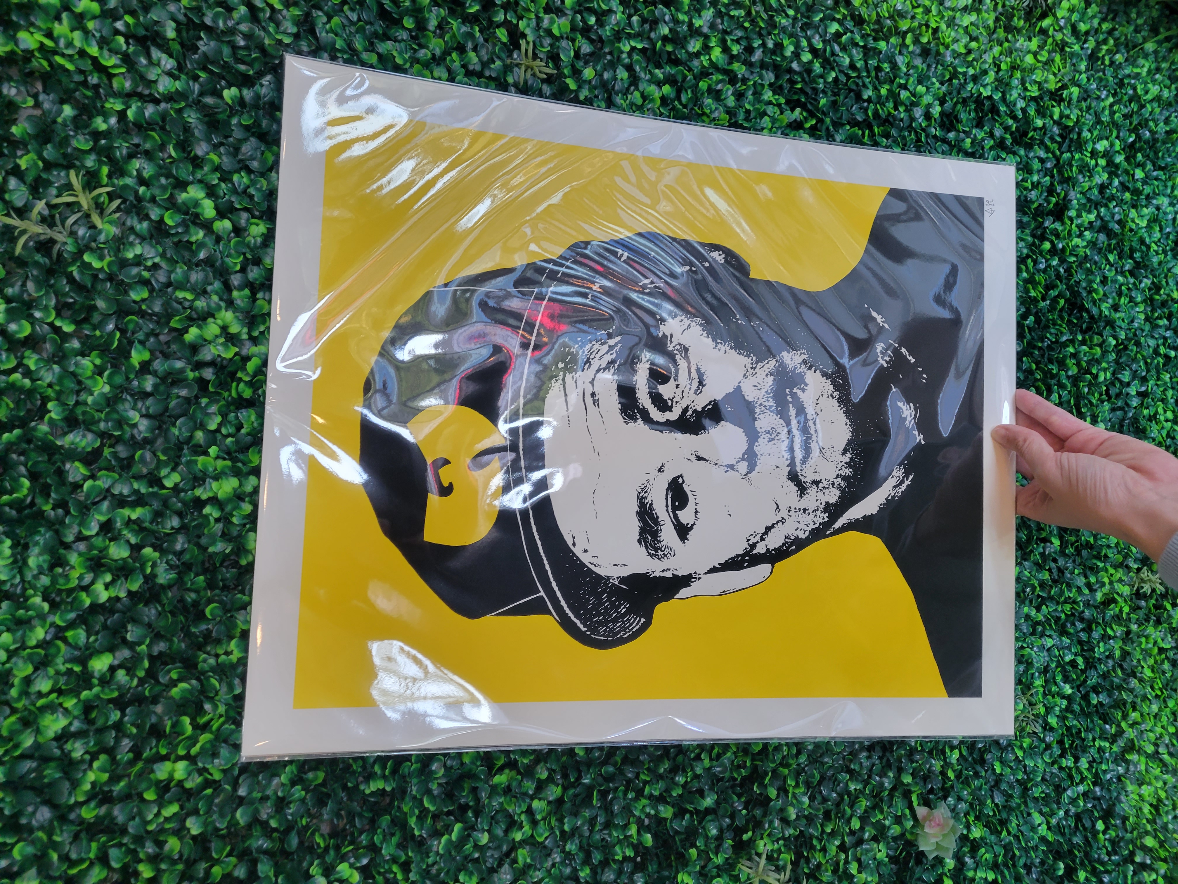 Photograph of product: Kalvin Panthers Prints