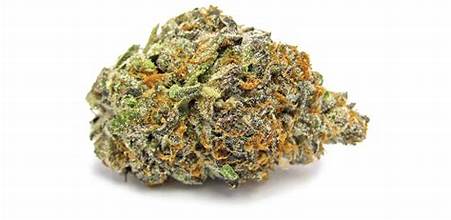 Photograph of product: Franklin Fields | Sugar Cookies | Bulk Flower - 28g