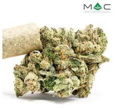 Photograph of product: MAC - Rainbow Road - PR