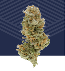 Photograph of product: Black Cherry Punch Flower - 7g