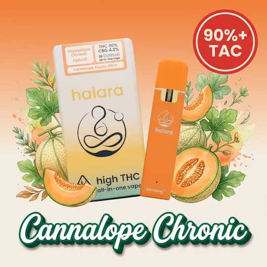 Photograph of product: Halara | Cannalope Chronic | High THC All-In-One