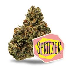 Photograph of product: 28g Spritzer Flower