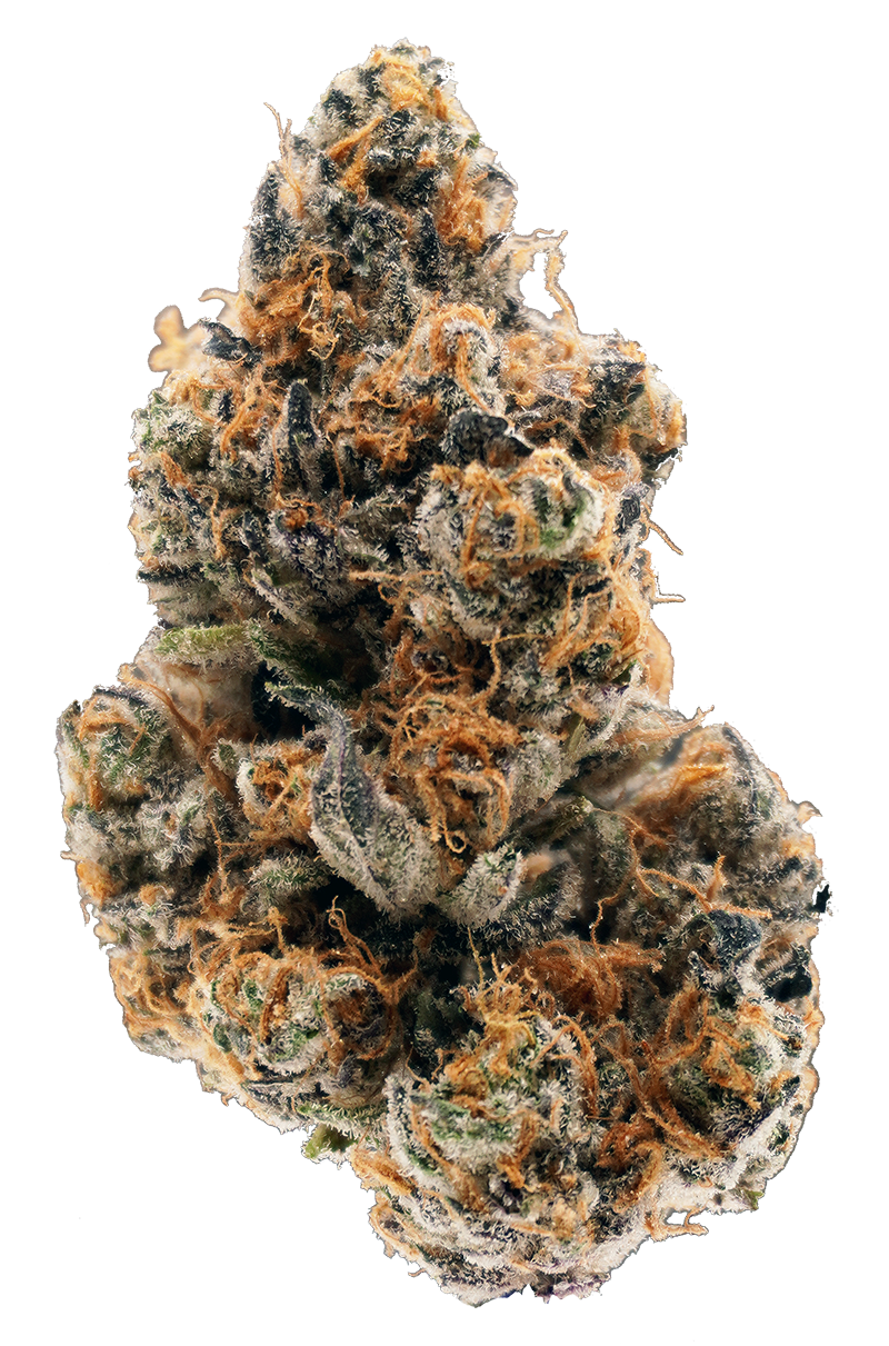 Photograph of product: Lazy River Juicee J (H) Flower 3.5g