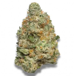 Photograph of product: Blue Runtz | GuuZotix - 28g
