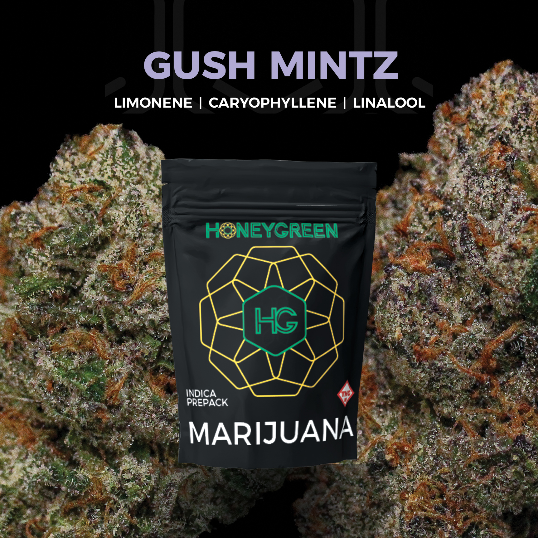 Photograph of product: Gush Mintz - 7g
