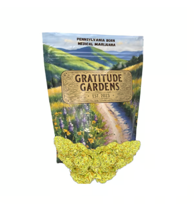 Photograph of product: Guava Gelato - 7g