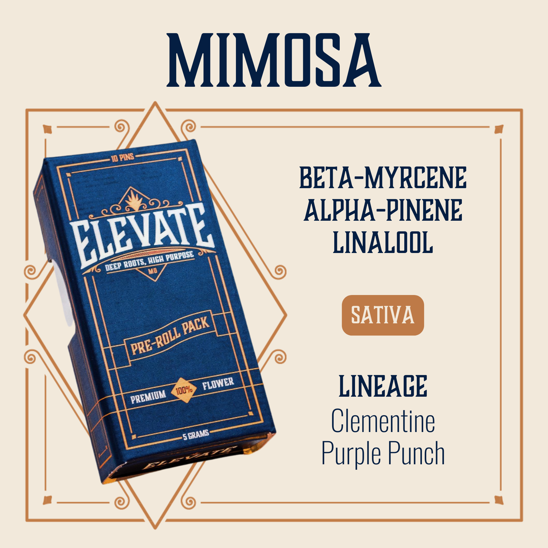 Photograph of product: Mimosa Pins Pre-Roll | 10-pack