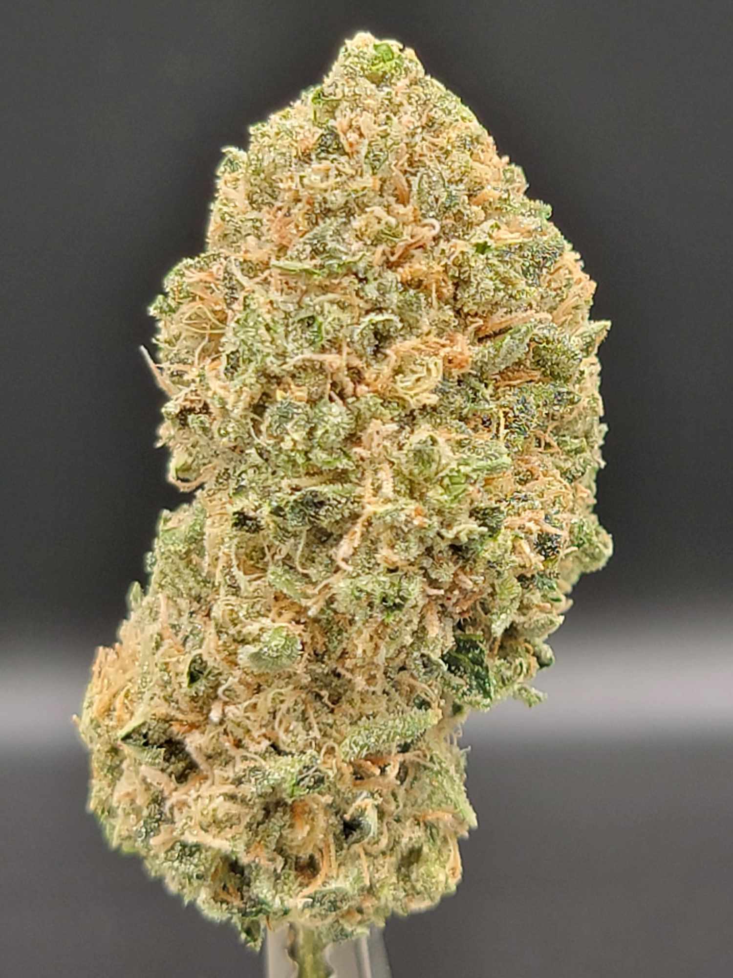 Photograph of product: Ghost Train Haze | 1.9.25 SD - 1g