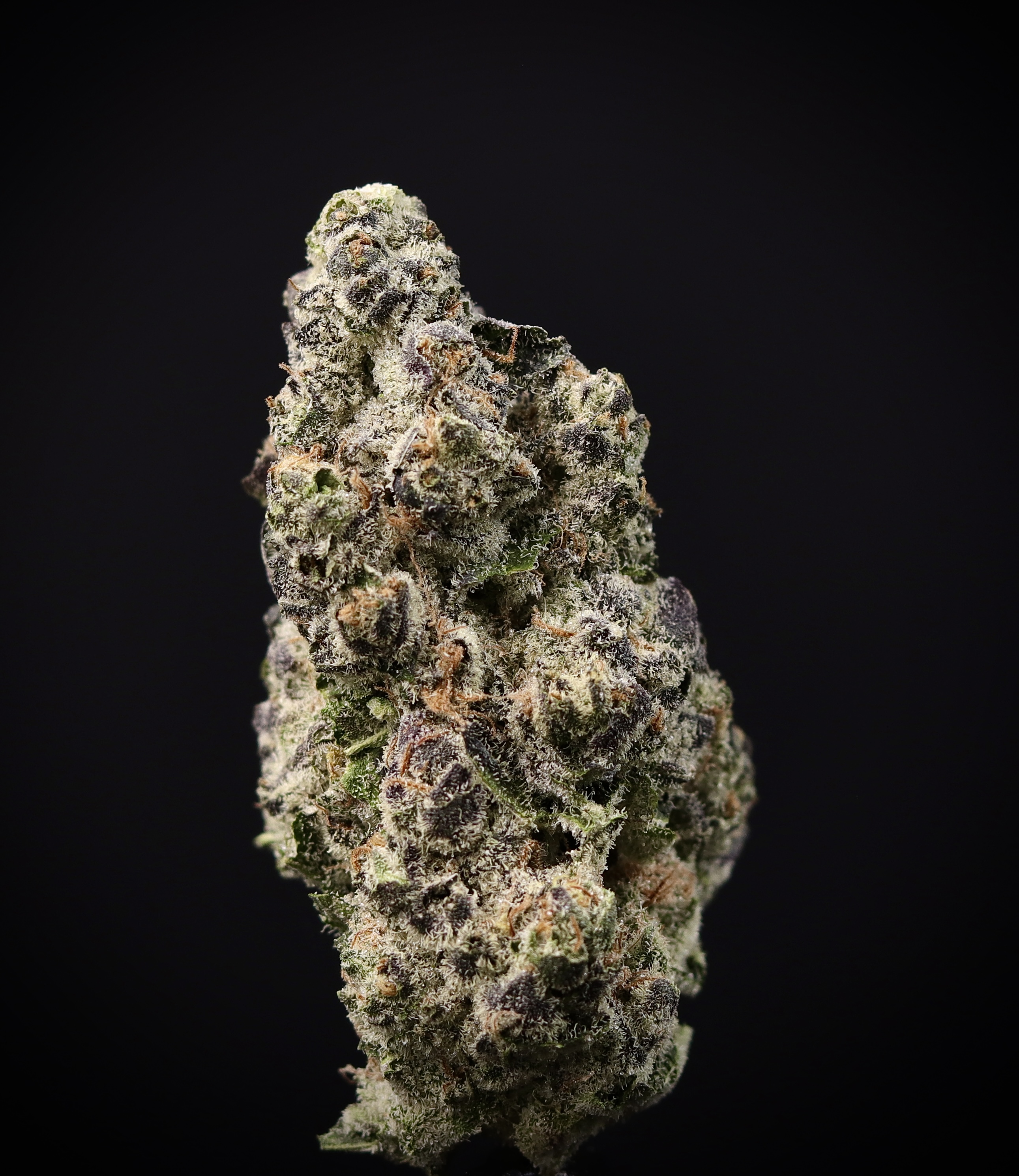Photograph of product: Elliot T 82 - Landrace Oui'd Co. - 7g