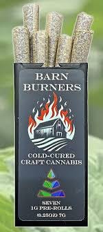 Photograph of product: Afghani Skunk-1g X 7 Pre Roll Pk TAC 22.30
