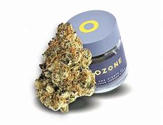 Photograph of product: Glitter Bomb  | Flower - 3.5g
