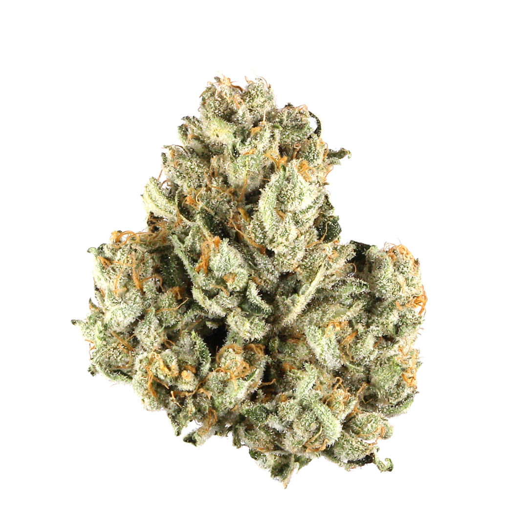 Photograph of product: Pancakes Flower | 3.5g - M1 Oui'd