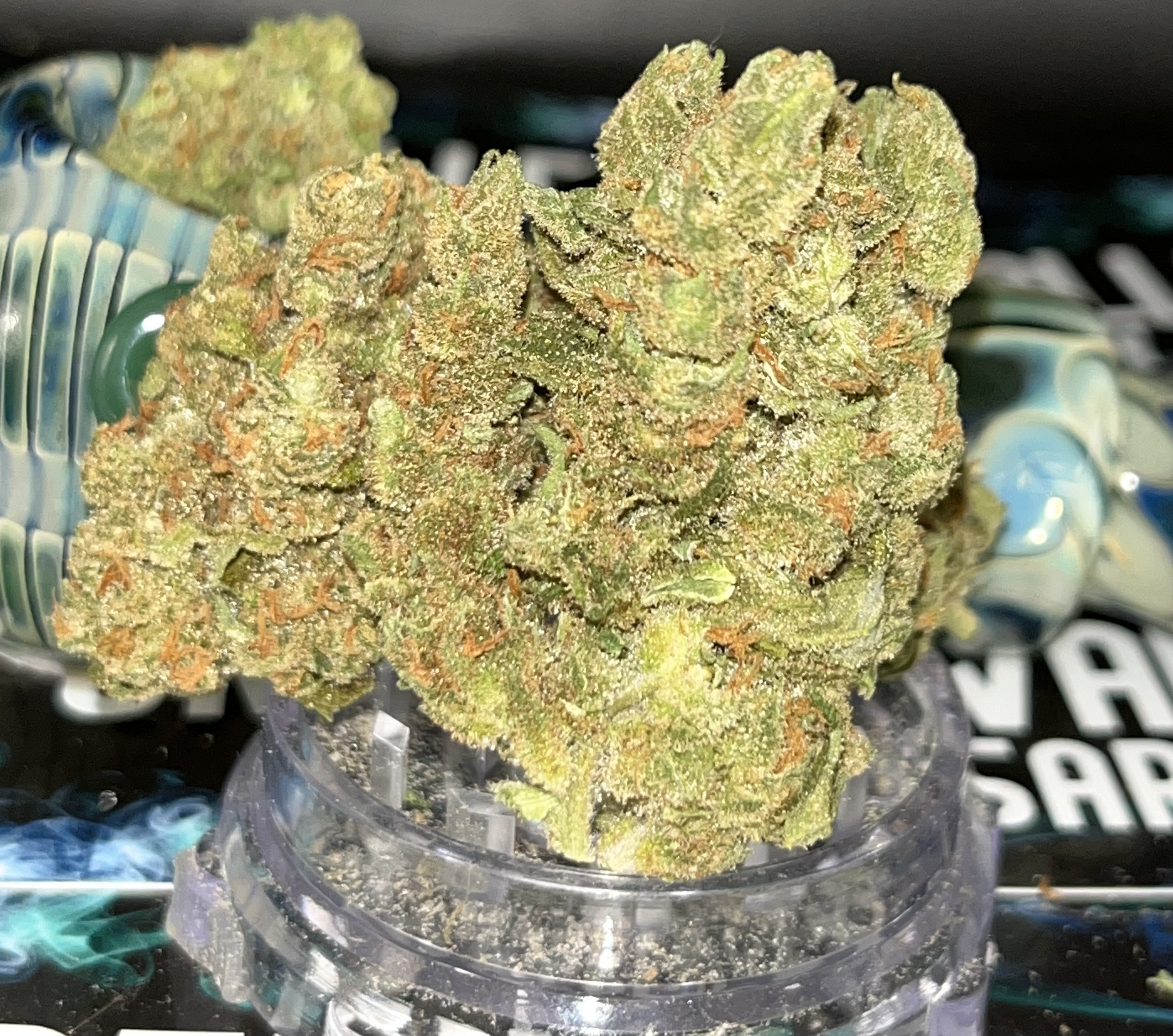 Photograph of product: Connoisseur Shelf - Jack Herer (S) - 28g