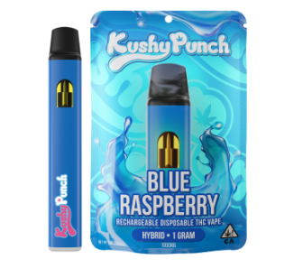Photograph of Product: Kushy Punch Blue Raspberry Hybrid AIO 1g