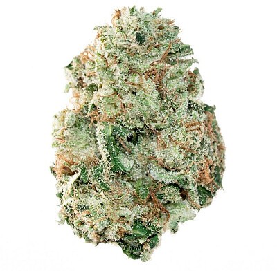 Photograph of product: KIWI SKUNK