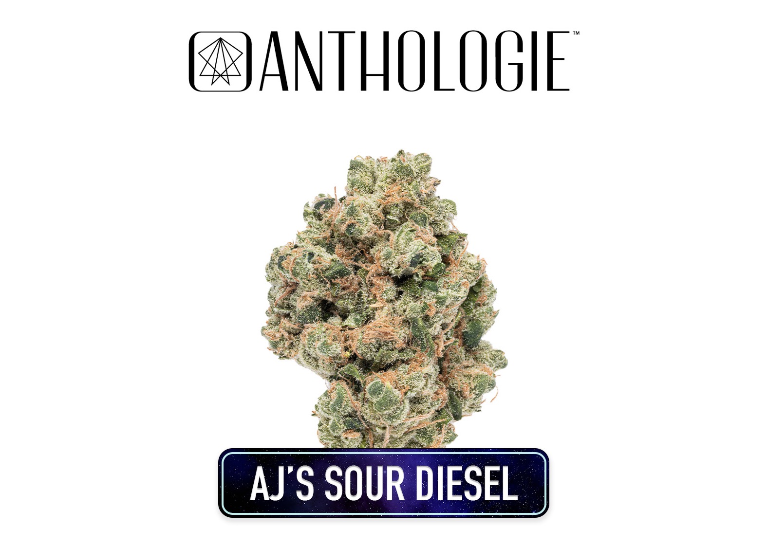 Photograph of product: Anthologie AJs Sour Diesel Flower 3.5g