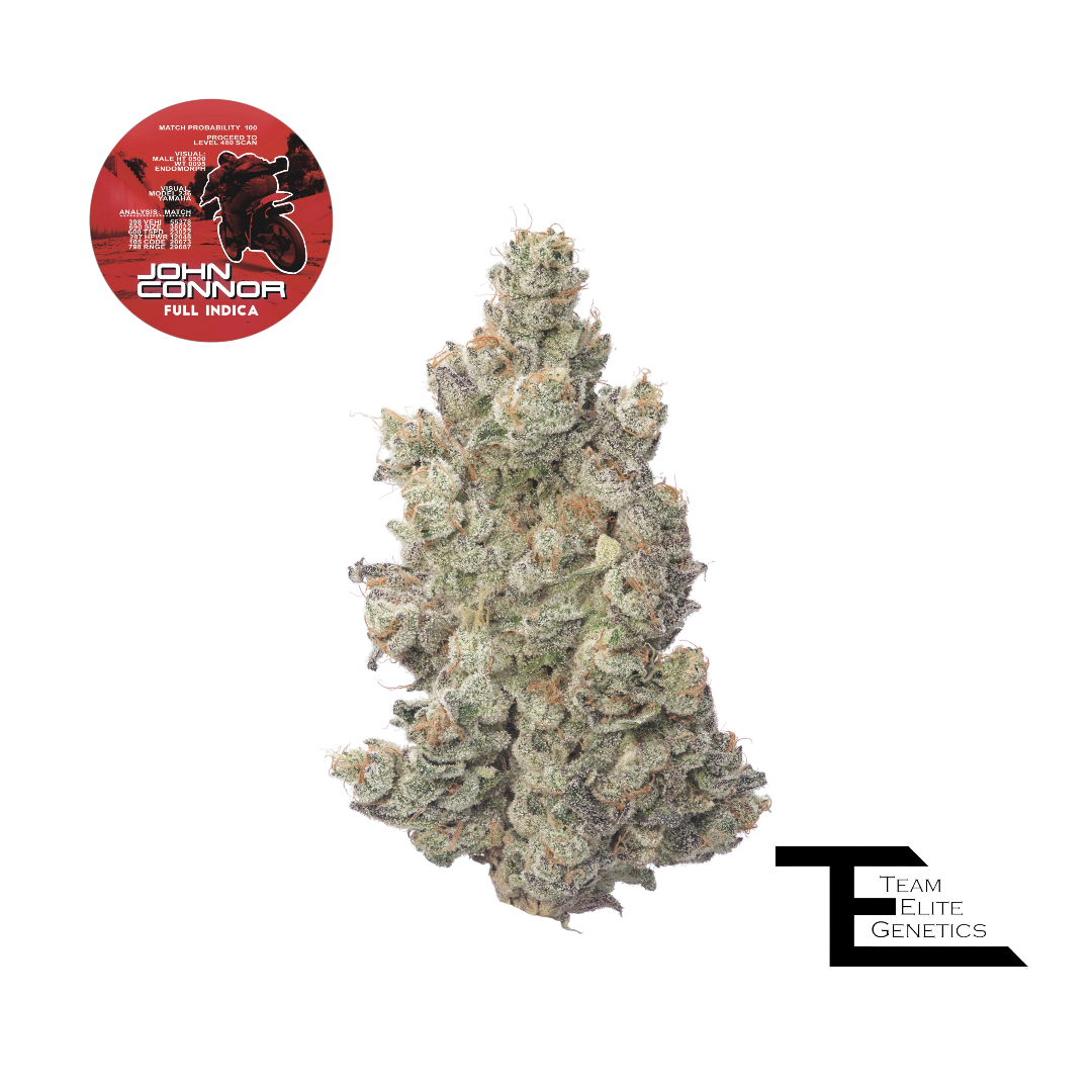 Photograph of product: Team Elite Genetics - John Connor (Oui'd) Premium Flower - 3.5g