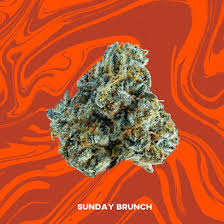 Photograph of product: VIVID SUNDAY BRUNCH