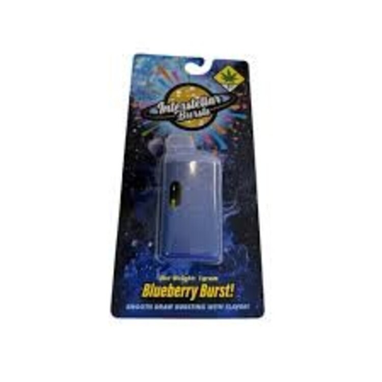 Photograph of product: Blueberry Burst Disposable | 1g