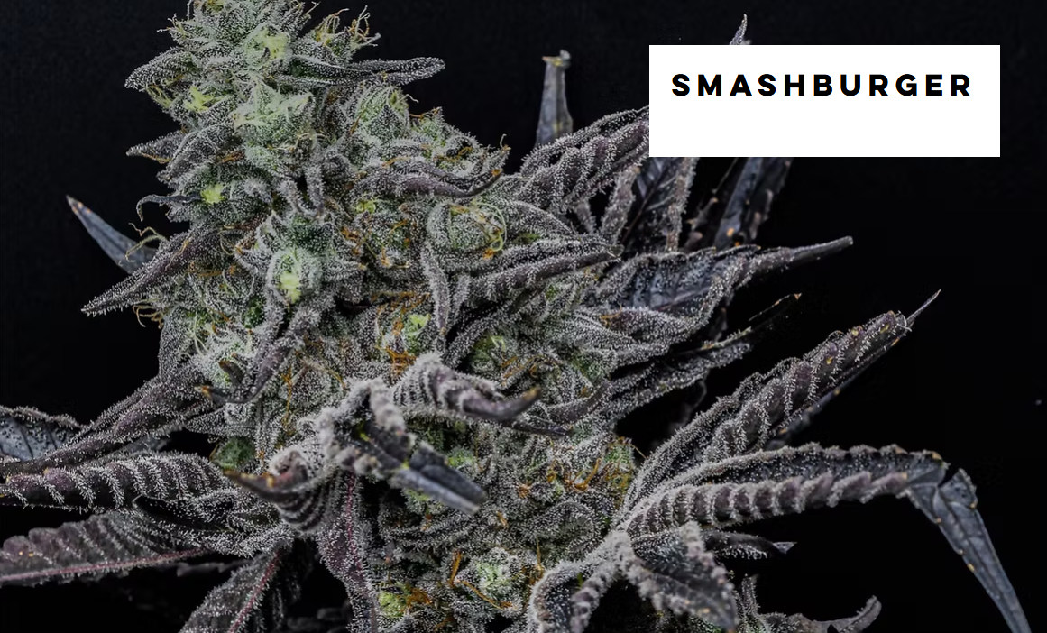 Photograph of product: Clone - Smashburger