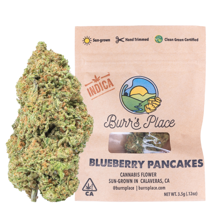 Photograph of product: Blueberry Pancakes (I) 3.5g 8th - Burr's Place