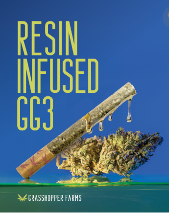 Photograph of product: Gorilla Glue 3 - Pre-roll Resin