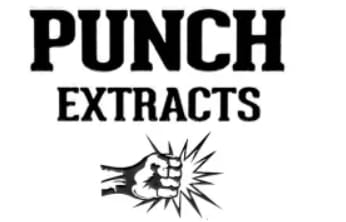 Photograph of product: PB&J Dark Chocolate | 100mg Punchbar Combo - 