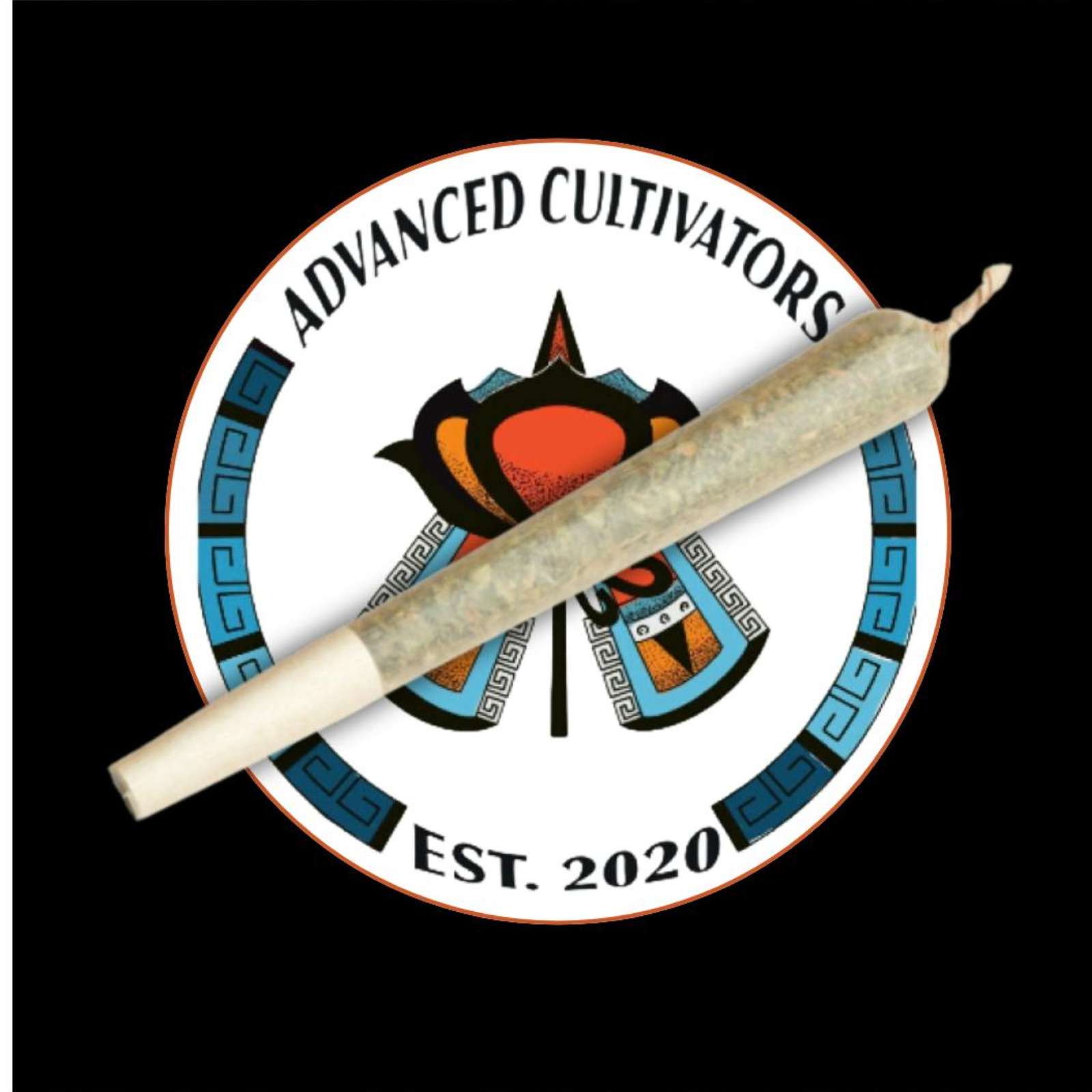 Photograph of product: Wingsuit (1.0g Pre-Rolled Joint)