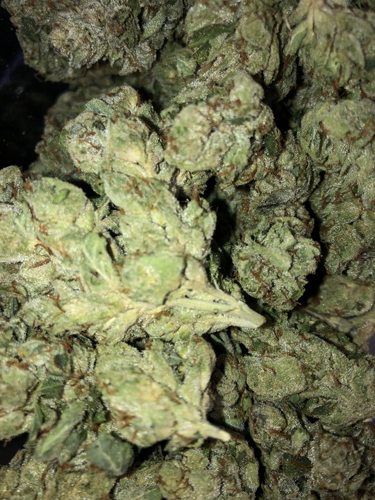 Photograph of product: Boog Shug (Cheeze Factory)